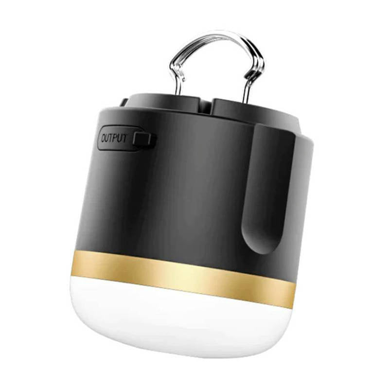 EcoFlow camping light