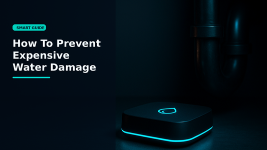 How To Prevent Expensive Water Damage - Smartizz smart technology guide