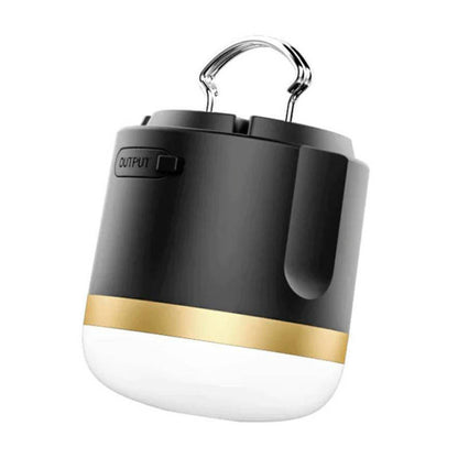 EcoFlow camping light
